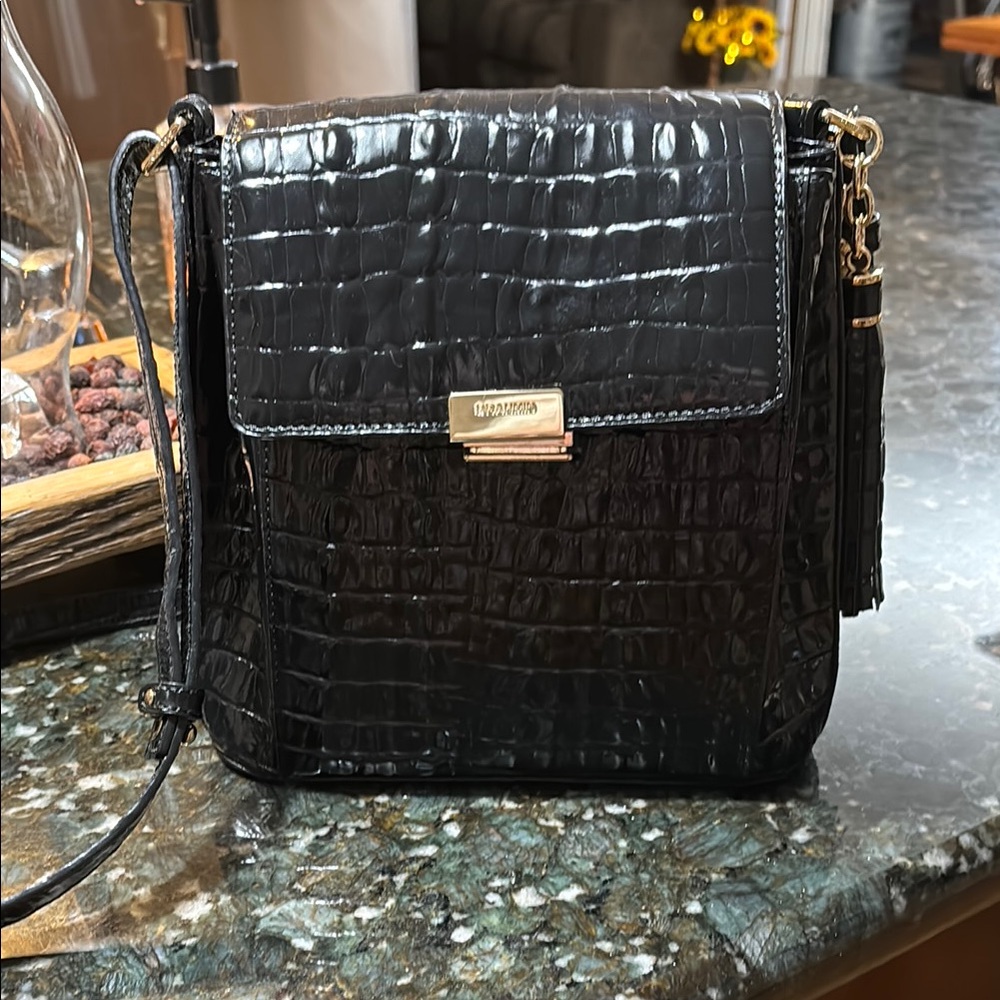 Brahmin Everlee
